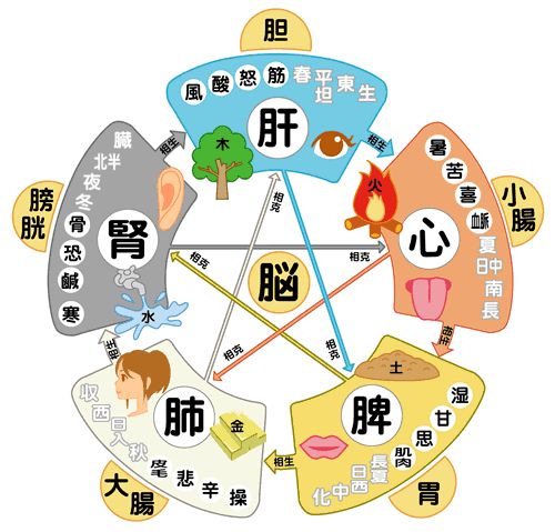 中医必看！从舌象看健康的终极指南，10种异常舌象一目了然​