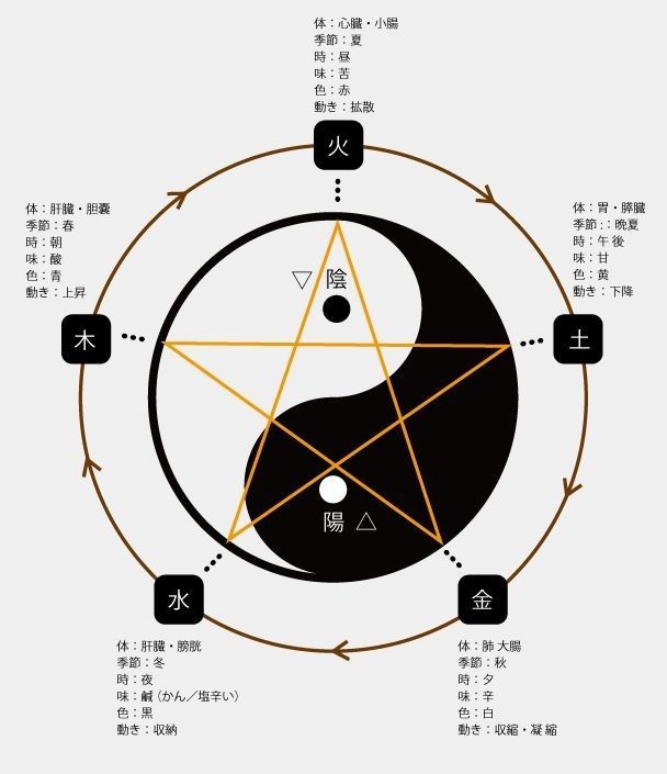 中医五行与五脏的关系全解析：舌象诊断与养生调理指南​