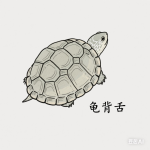 中医舌诊实战：龟背舌的成因与调理全解，脾肾亏虚必看​