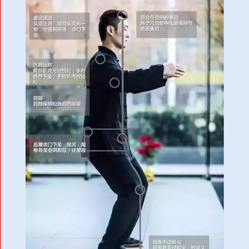 中医站桩全攻略：五步标姿势+排病反应应对指南