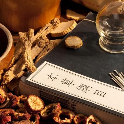 中医十二大辨证法详解
