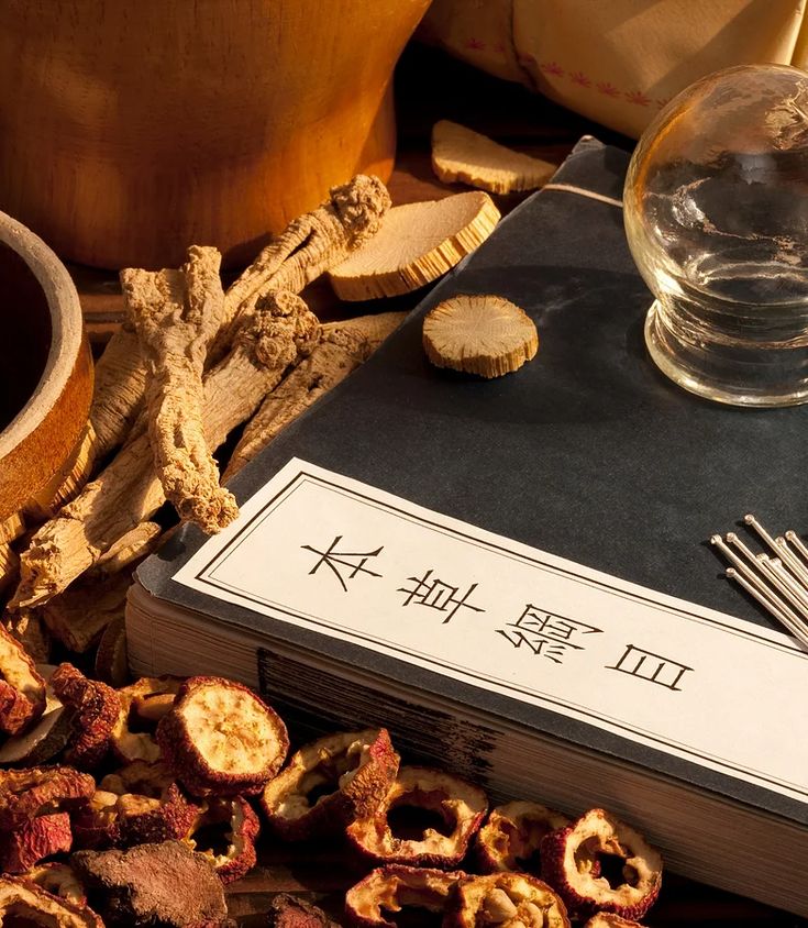 辨证的方法及要点