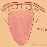 从舌诊看肝郁脾虚：脾胃题的五大预警信号与调理方案