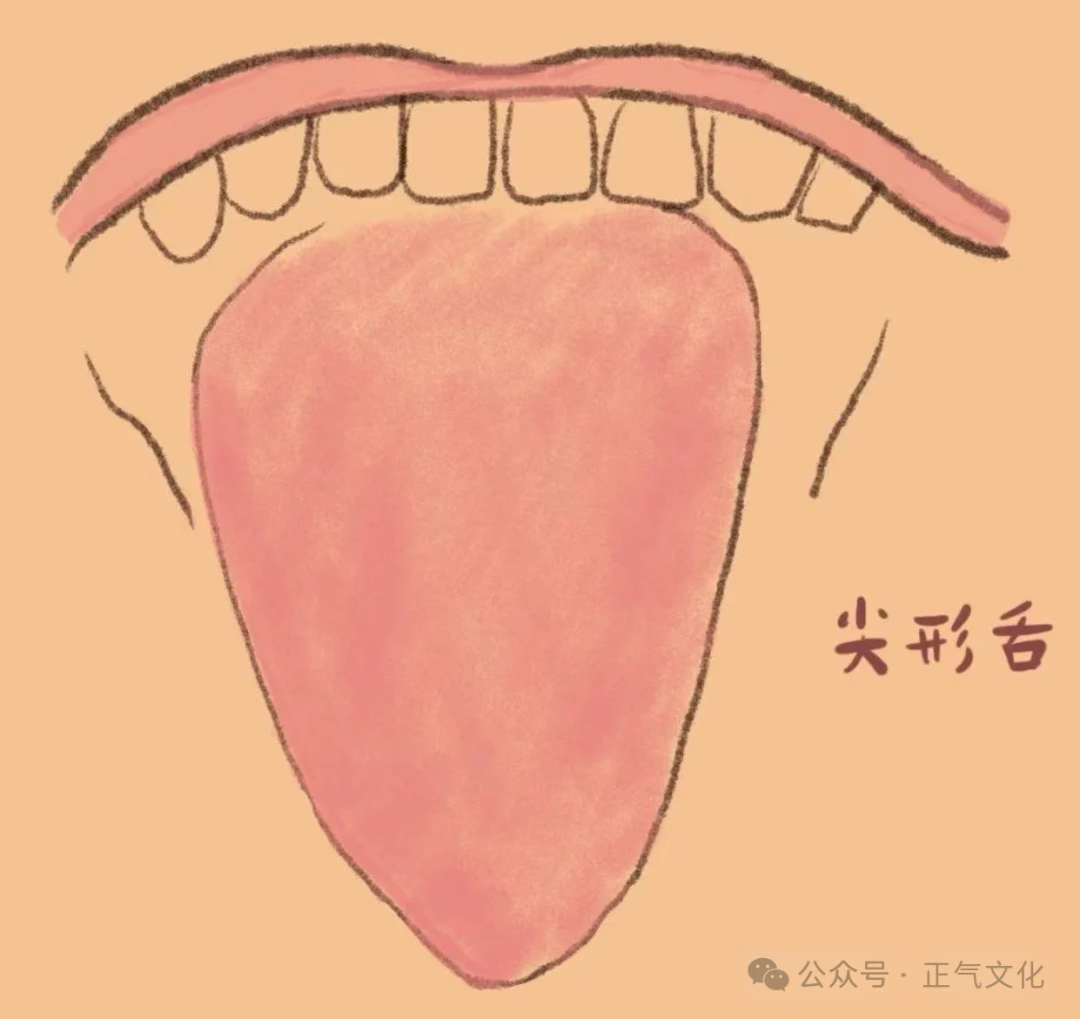 从舌诊看肝郁脾虚：脾胃题的五大预警信号与调理方案